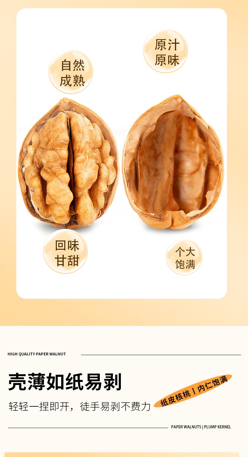 纸皮核桃_03.jpg