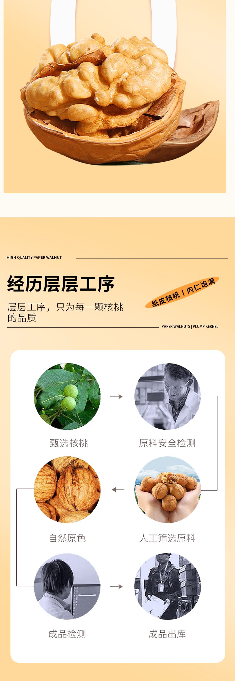纸皮核桃_07.jpg