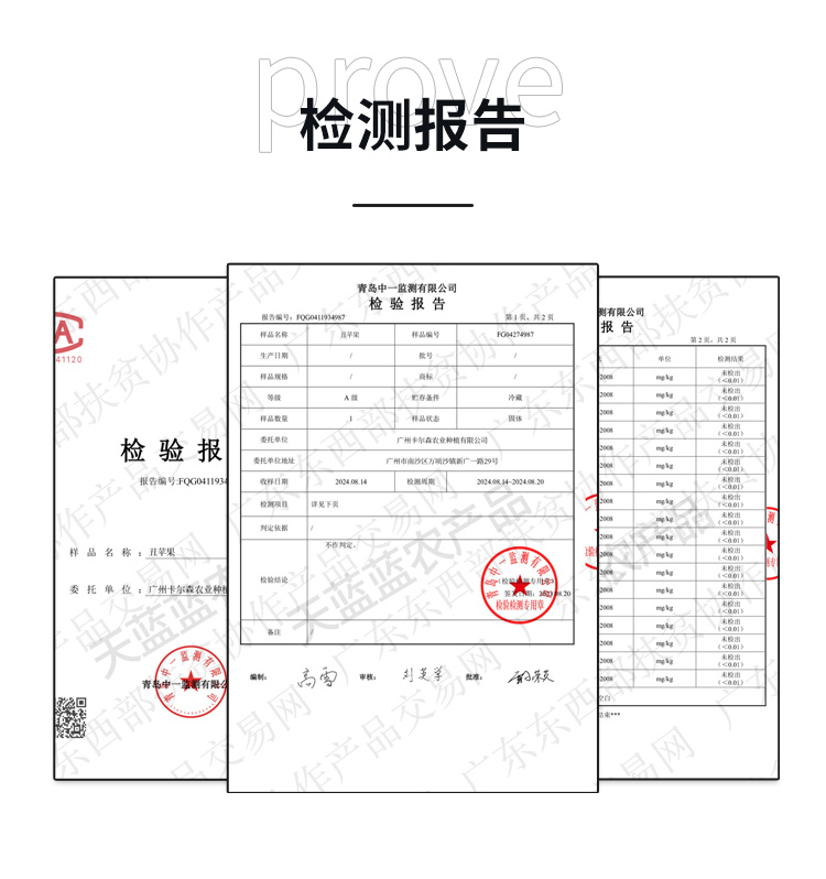 丑苹果检测报告.jpg