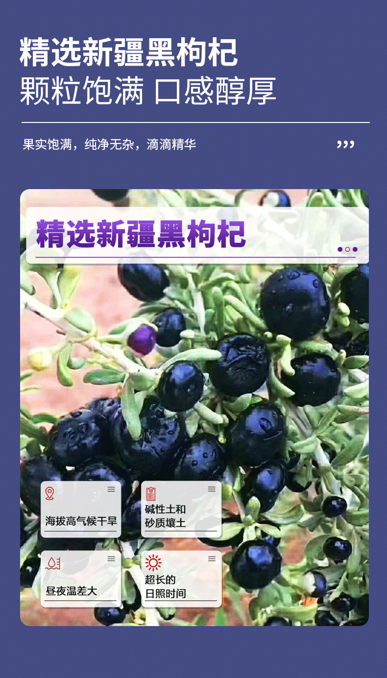 疆果萃-黑枸杞原浆-详情页_06.png