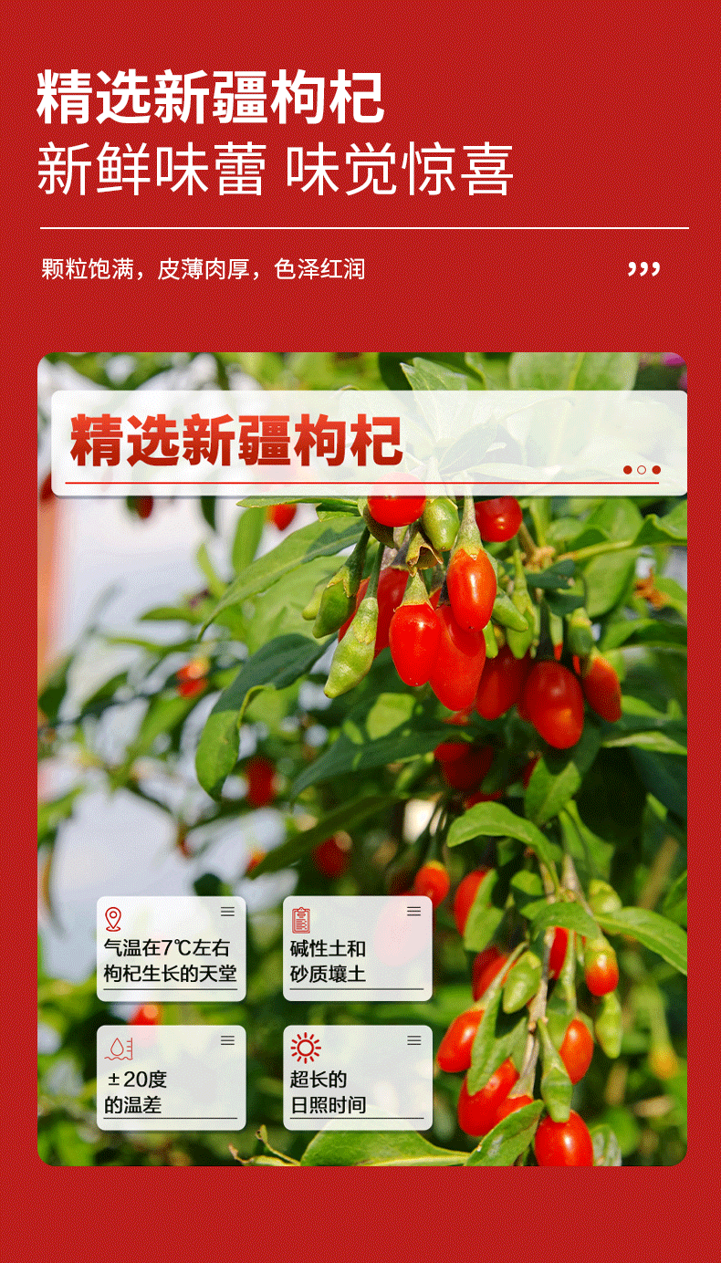 疆果萃-沙漠红枸杞-详情页_06.png