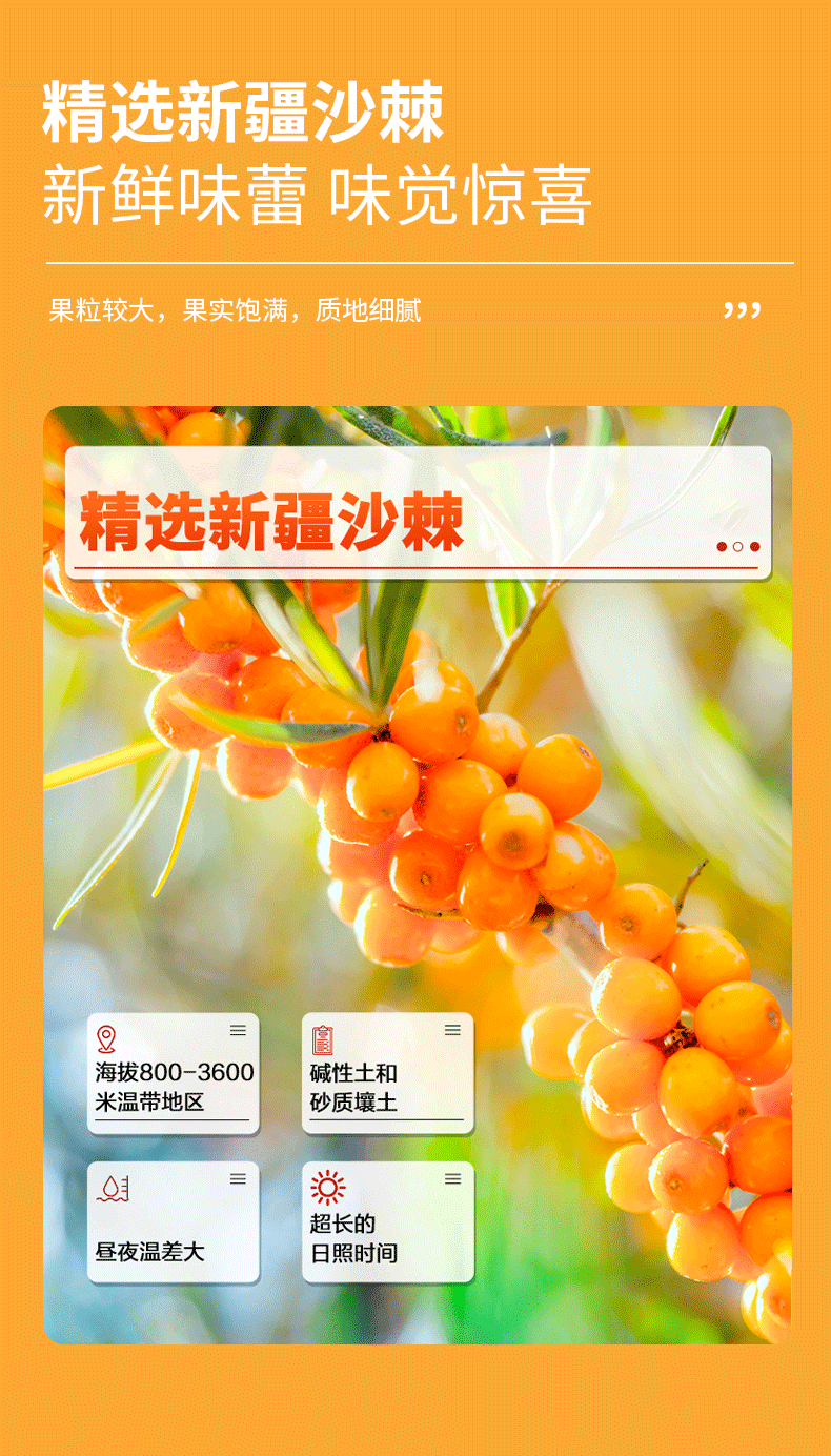 疆果萃-沙棘原浆-详情页_06.png