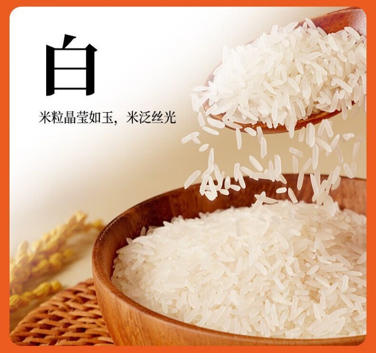 详情页12.jpg