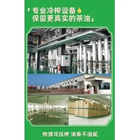 山茶油6