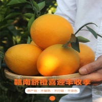 主图4
