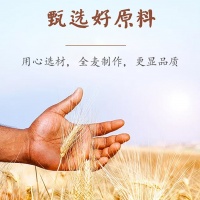 未标题-2---副本