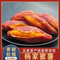 雷州 杨家蜜薯10斤/箱