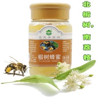 广东 詹氏椴树蜂蜜500g/瓶