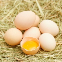鸡蛋3