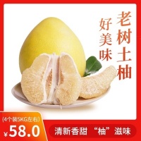梅州 老树土柚4个装（约5kg）
