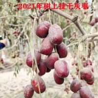 微信图片_20220517160641