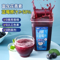 贵州 冰鲜蓝莓汁