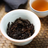 春秋茯主图5