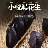 广东连南 瑶乡黑皮花生250克/瓶