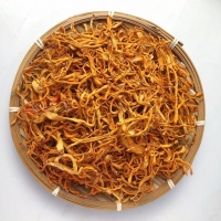 虫草花主图 (12)