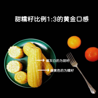 【贵州】一诺三甜~甜糯玉米  富含叶酸  6根/10根装