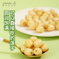 莲子2