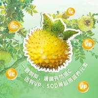 主图05
